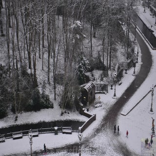 img1524932805-1.jpeg