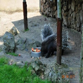 img1289141395-1.jpeg
