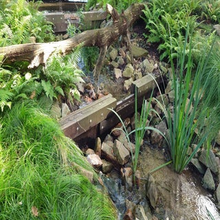 images1038944131-standard.jpg