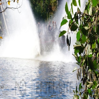 images303396429-standard.jpg