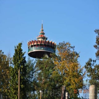 img1428032518.jpeg