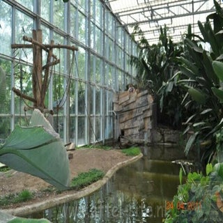 img1289142247-1.jpeg