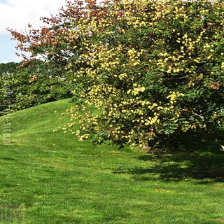 img1516898837-2.jpeg