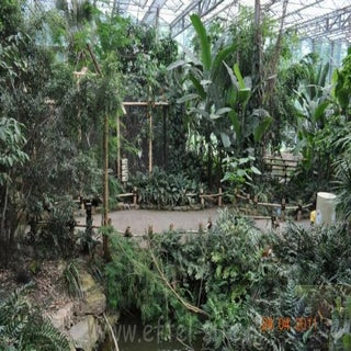 img1289142388-1.jpeg