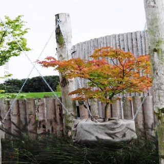img1516899275-1.jpeg