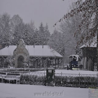 img1524931931-1.jpeg