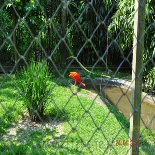 img1289141223-1.jpeg