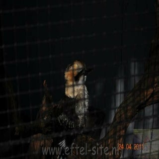 img1289141198-1.jpeg