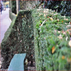 qvzjstd0r0yxctbpa1ayoq-standard-w3r1cb.jpg