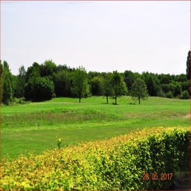 qvzkyu5puhndu3frowo1rw-standard-rkrb5b.jpg