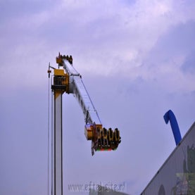 qvzlnm9pdg5lee5hsxpmbq-standard.jpg
