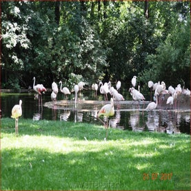 qvzmwlhwako3dwnrsdn6bg-standard.jpg