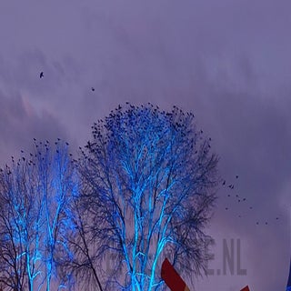 20231228_170541.jpg
