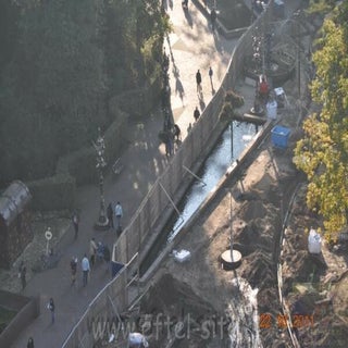 img1428032558.jpeg