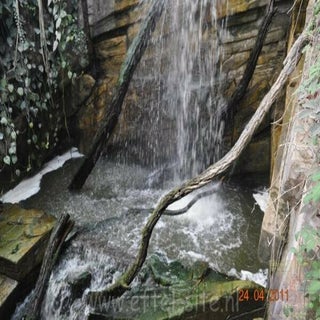img1289142372-1.jpeg