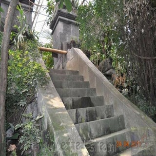 img1289142276-1.jpeg