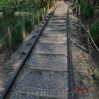 img1289142418-1.jpeg