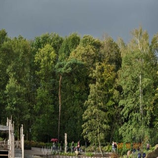img1420432007.jpeg