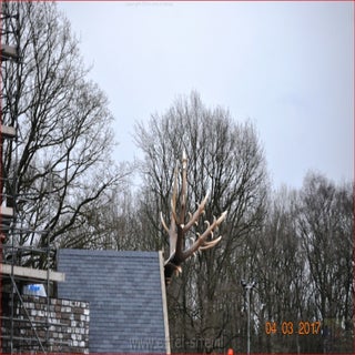 DSC_6980Eftel-siten-1.jpg