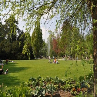 img1289141891-1.jpeg