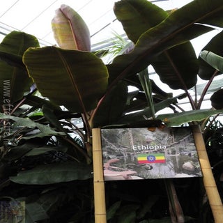 img1516899729-1.jpeg