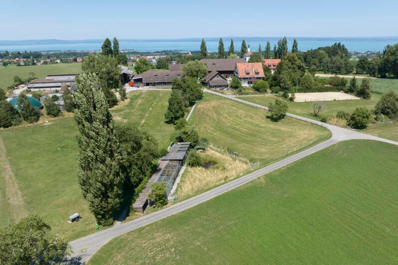 dji_0568-standard.jpg
