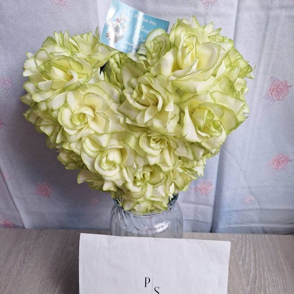 Cœur 25 cm roses verdatres