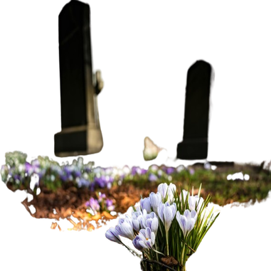 pexels-pixabay-161280-removebg-preview-standard.png