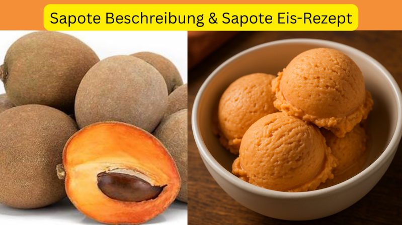 Zweigeteiltes Bild mit dem Titel ‚Sapote Beschreibung & Sapote Eis-Rezept‘. Links sind mehrere runde, braun gefärbte Mamey-Sapote-Früchte zu sehen, eine davon ist aufgeschnitten und zeigt ihr orangefarbenes Fruchtfleisch mit großem Kern. Rechts im Bild be