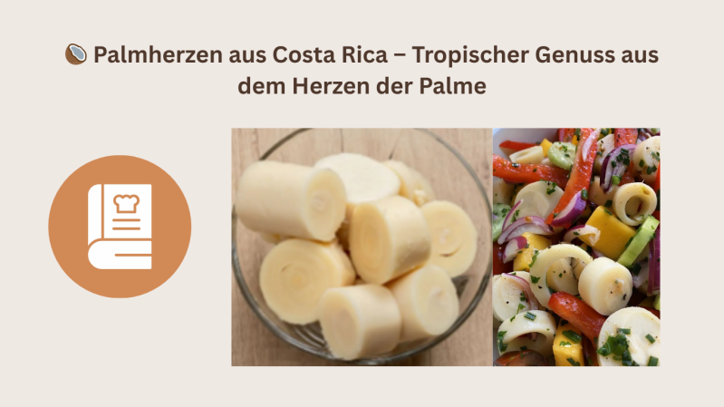 Zweiteiliges Bild mit dem Titel "Palmherzen aus Costa Rica – Tropischer Genuss aus dem Herzen der Palme". Links oben steht der Titel in dunkler Schrift mit einem kleinen Symbol einer Kokosnuss. Darunter befindet sich ein orangefarbener Kreis mit einem wei