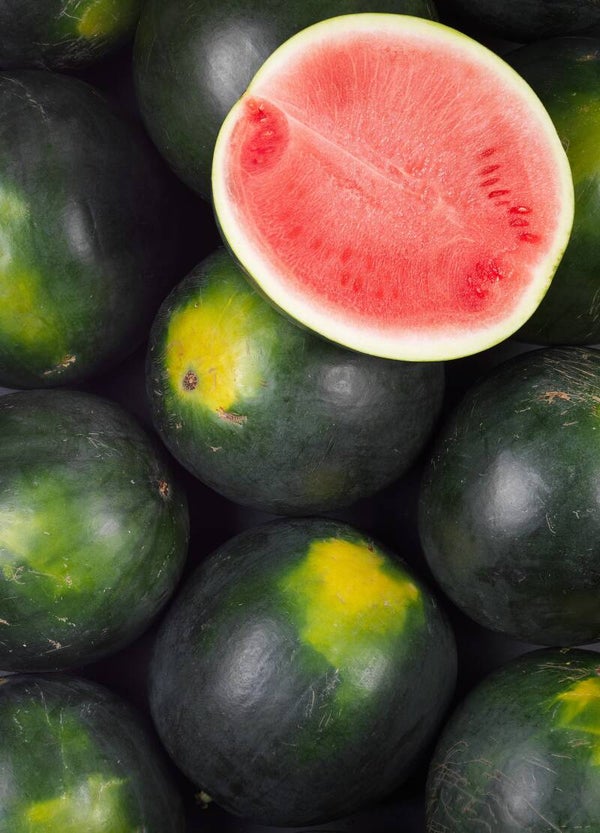 Pastèque noire sans pepin