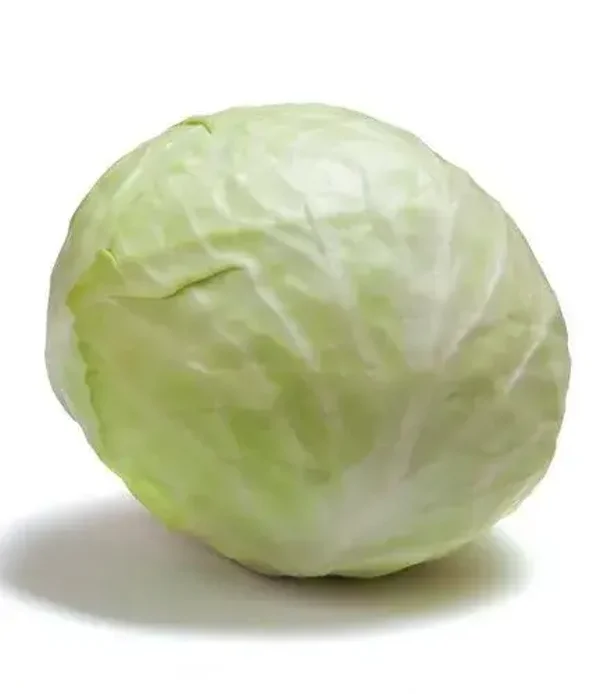 Choux blanc lisse