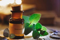 eucalyptus essential oil to clear airways