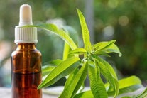 verveine-essential-oil-to-reduce-stress