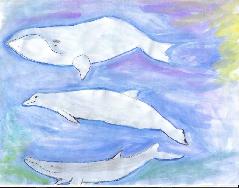 laura-3-whales-2-standard-9yj08u.jpg