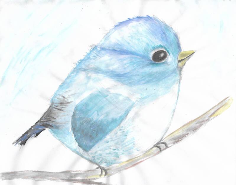 laura-bluebird-watercolor-standard-14emnk.jpg