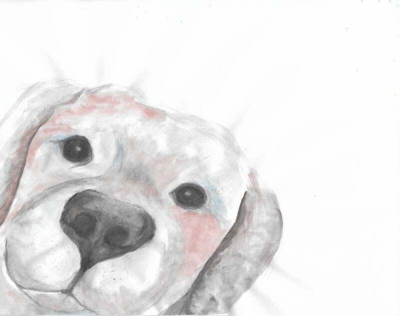 laura-water-color-dog-standard-4y36gq.jpg