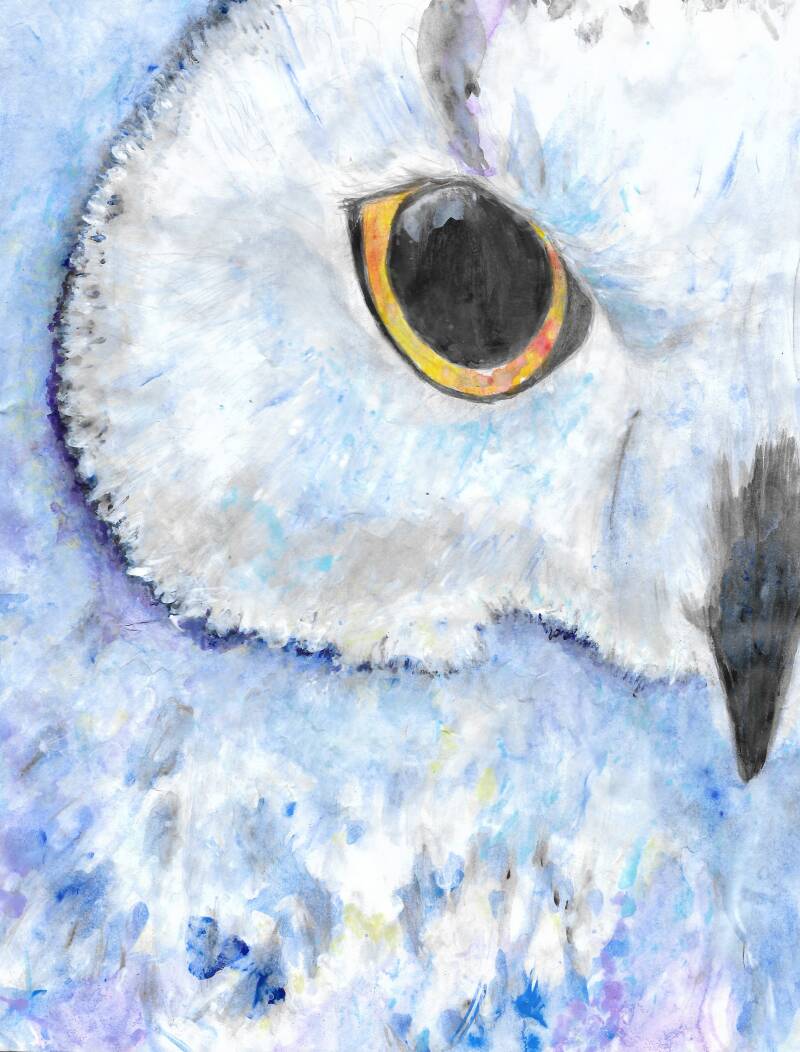 laura-white-owl-in-blue-standard-ylxb9z.jpg