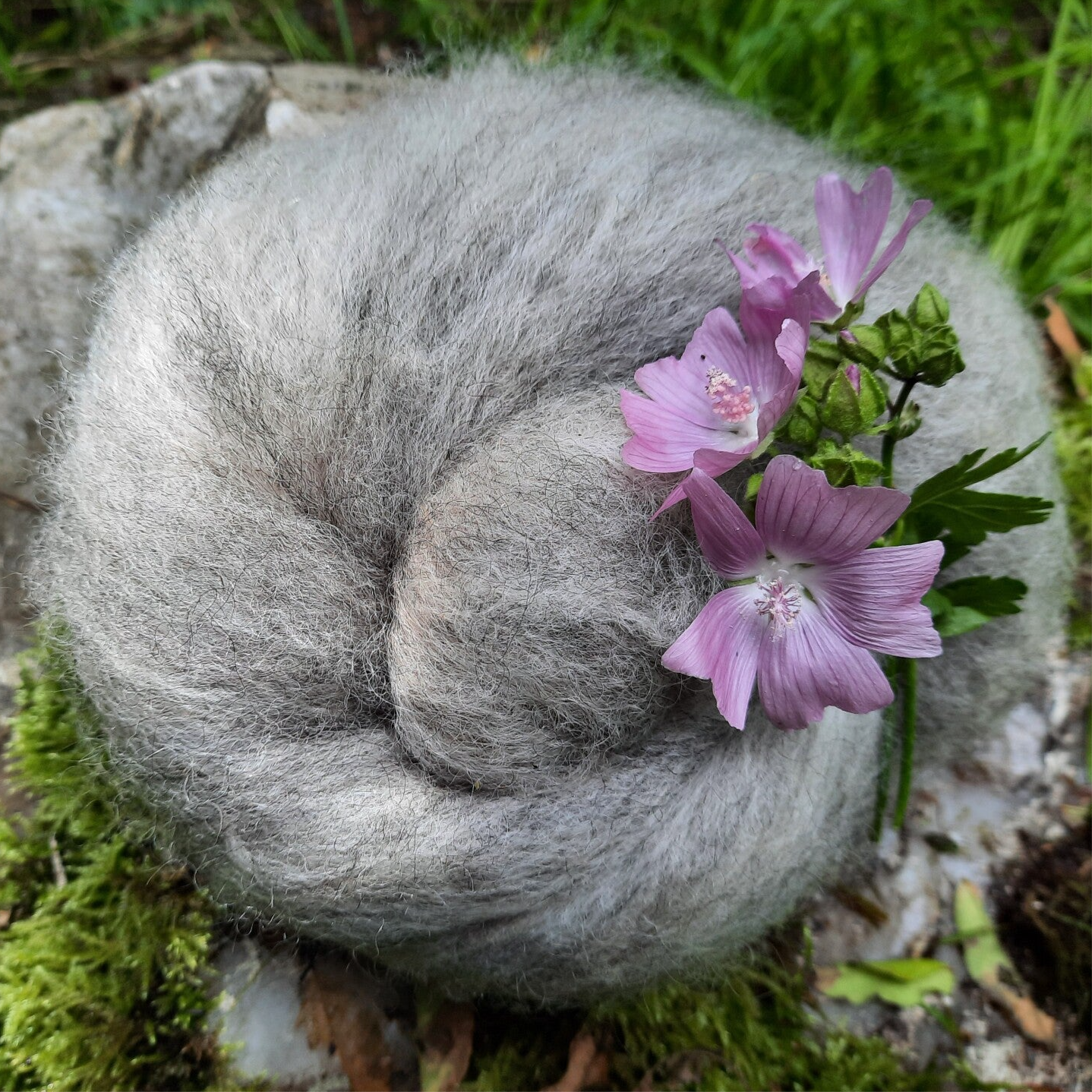Karteflor Spælsau-Islandmix, grå nuancer, 50 g