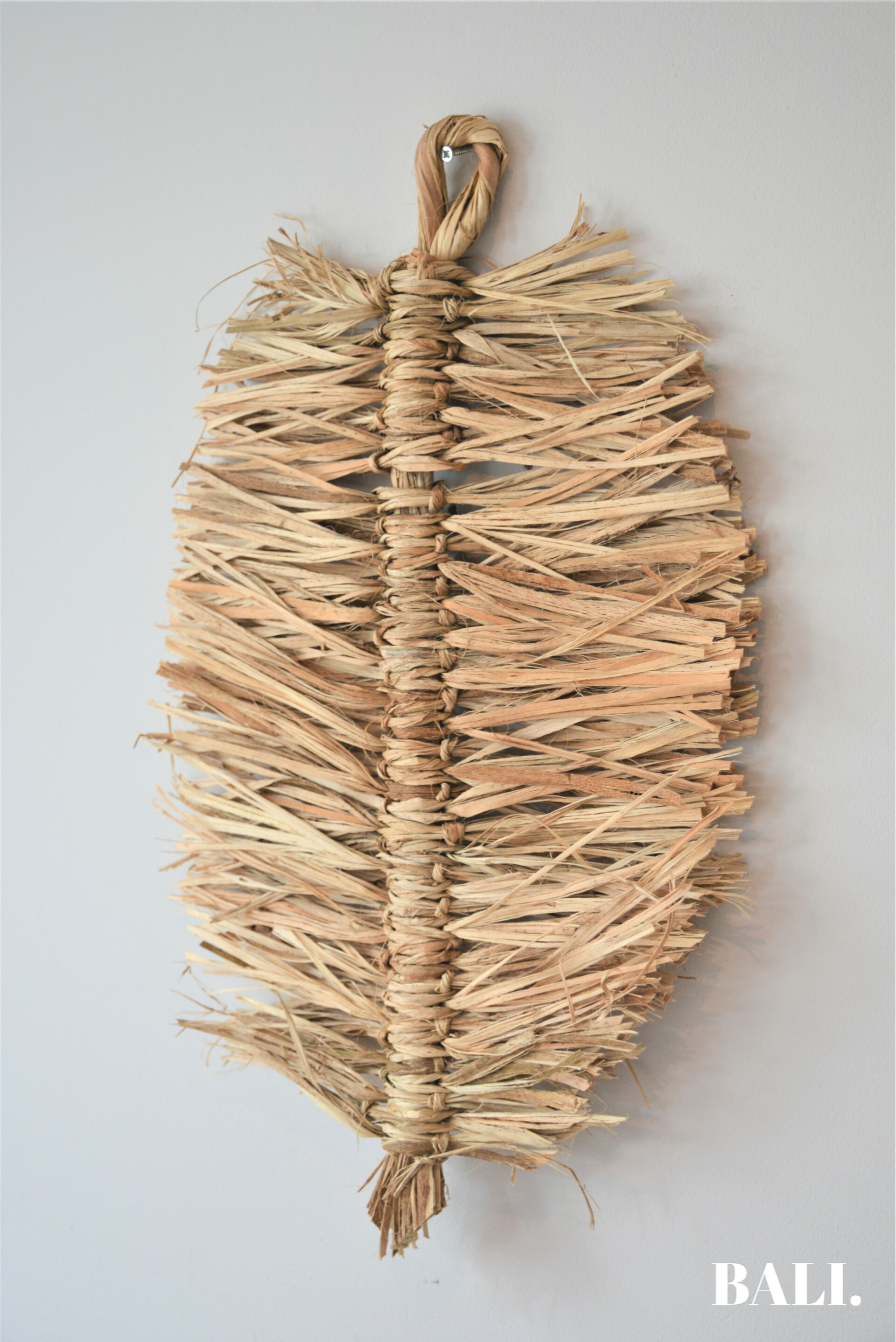 Banana leaves | BALI.