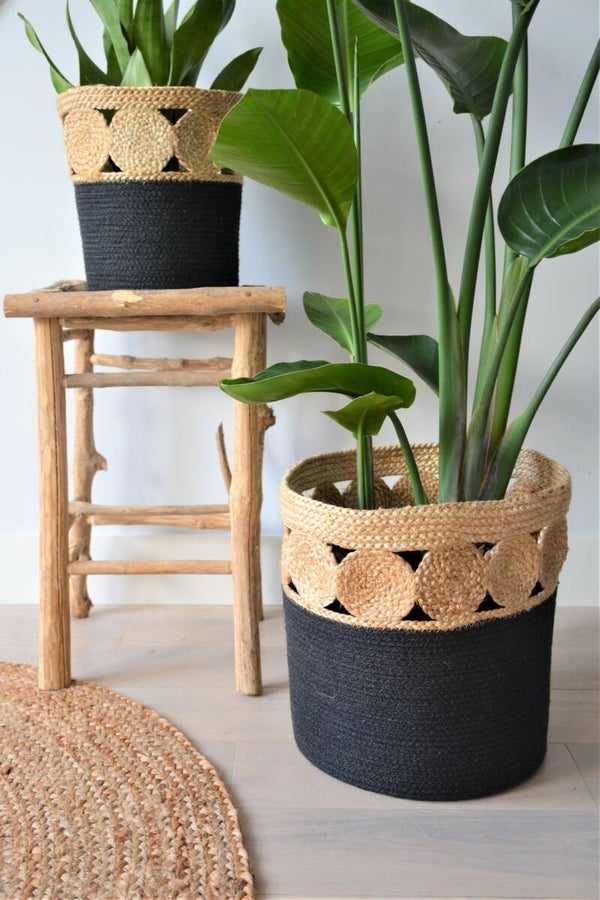 Jute Mand | Bola Bola