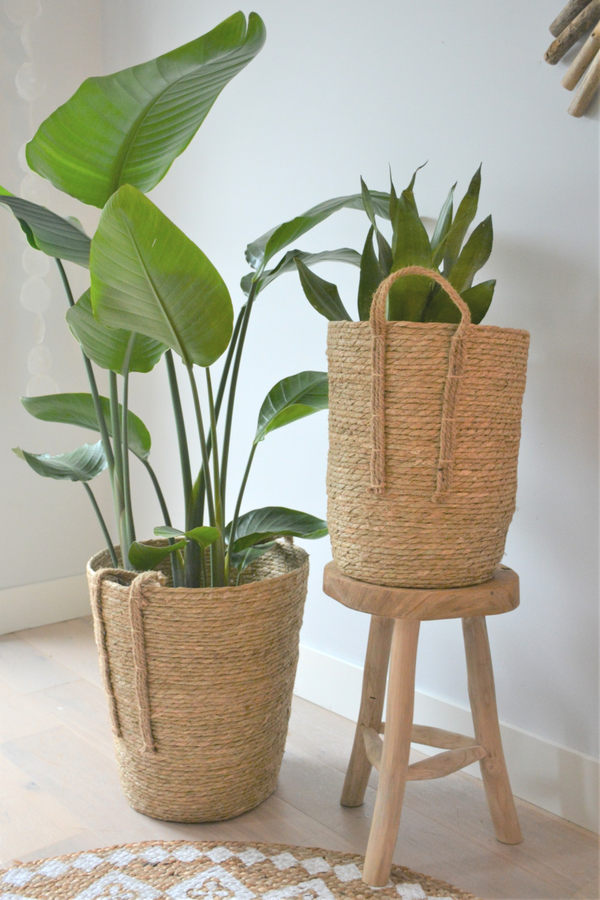 Rieten manden | naturel
