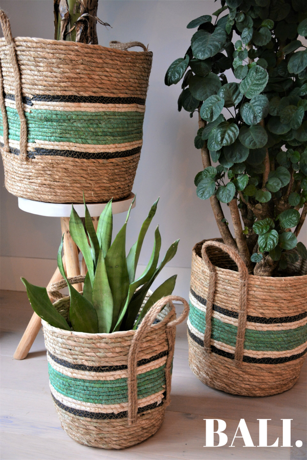 Rieten manden  |  Naturel/Groen