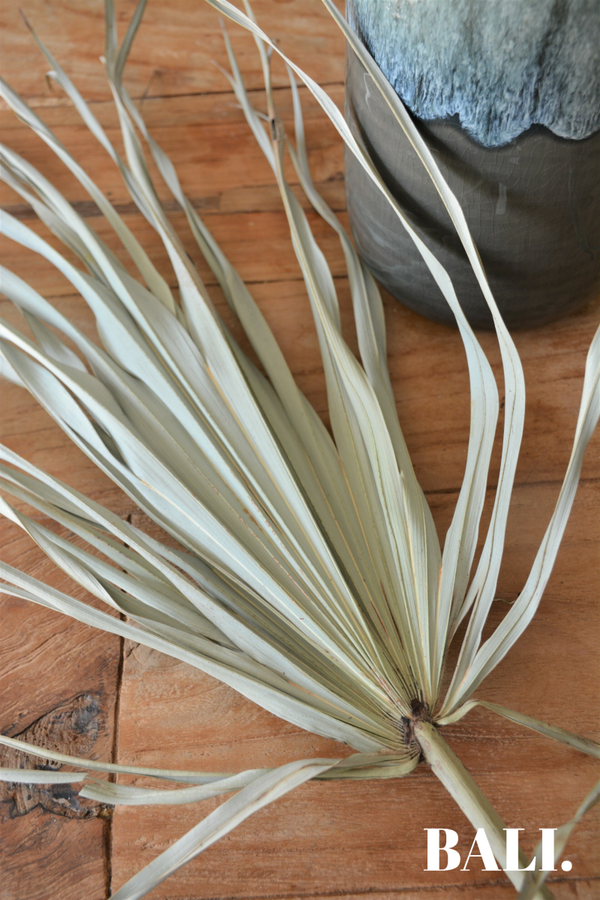 Gedroogd Palmblad | 5 stuks (40x65)