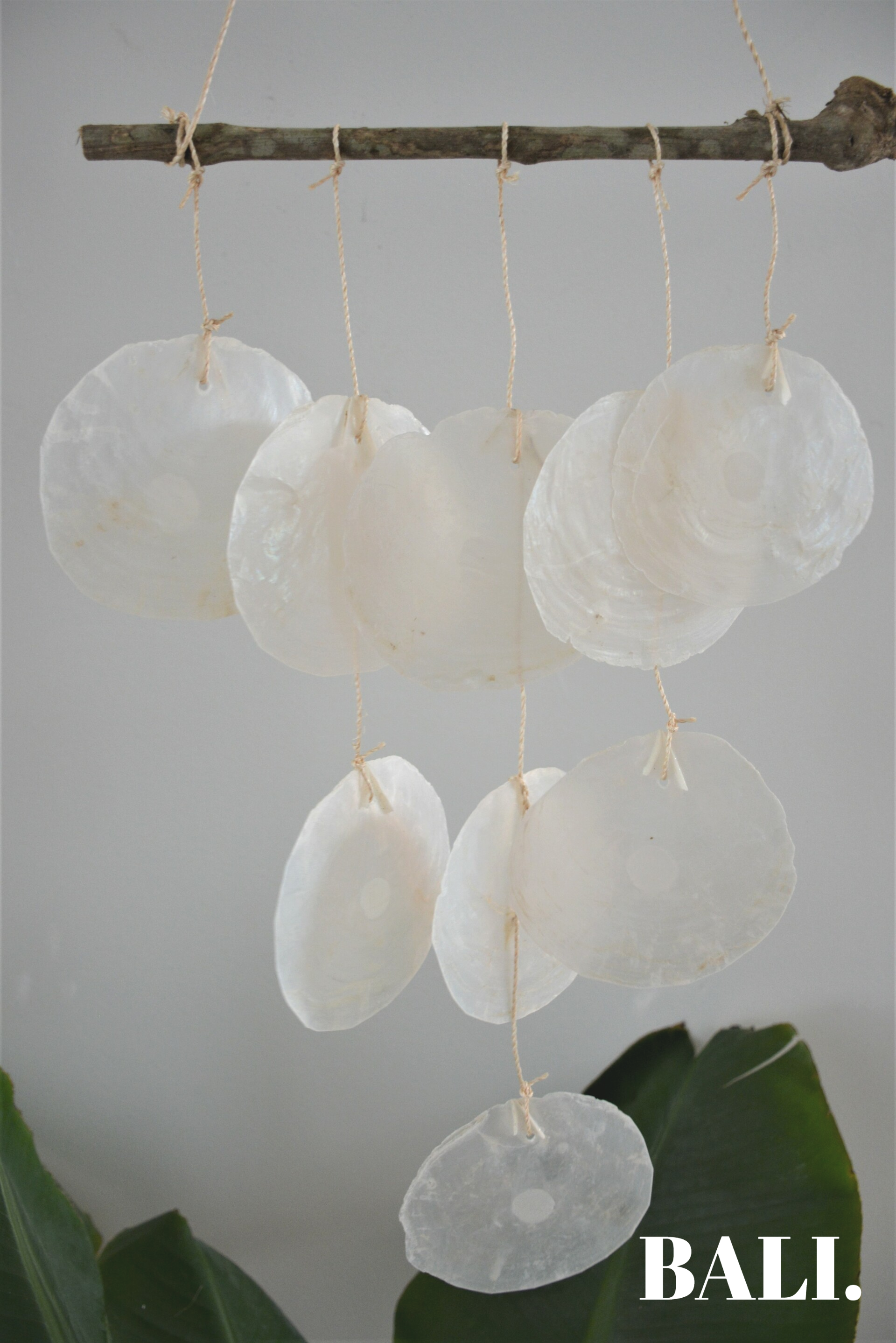 Schelpen hanger - naturel hout