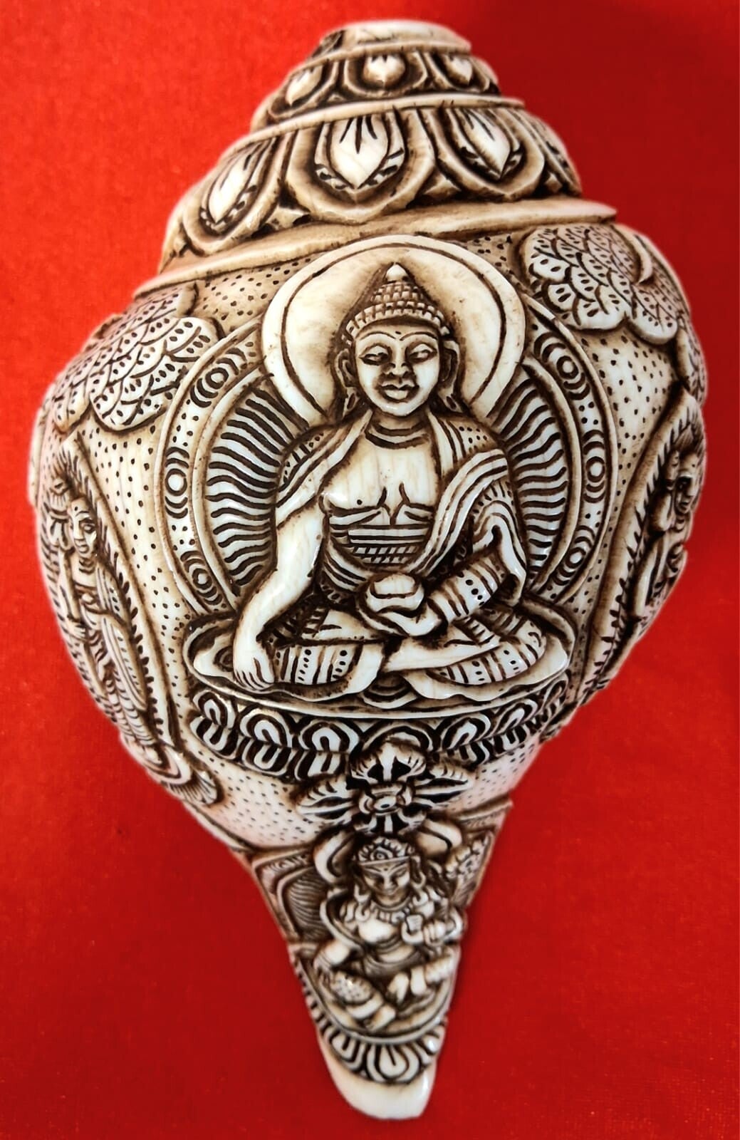 Conchiglia Shankha#1