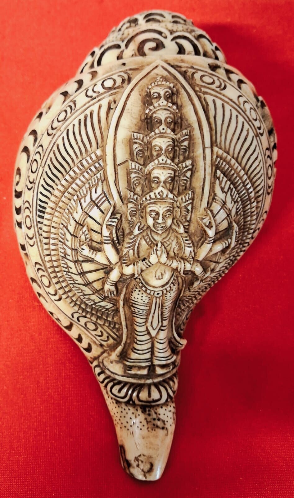 Conchiglia Shankha#3
