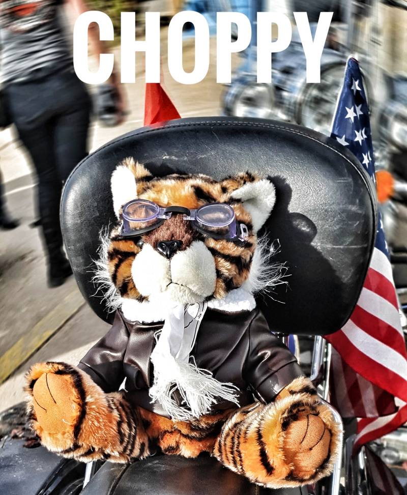 Motorreis USA CHOPPY