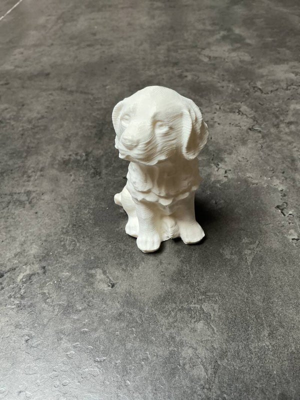 Labrador