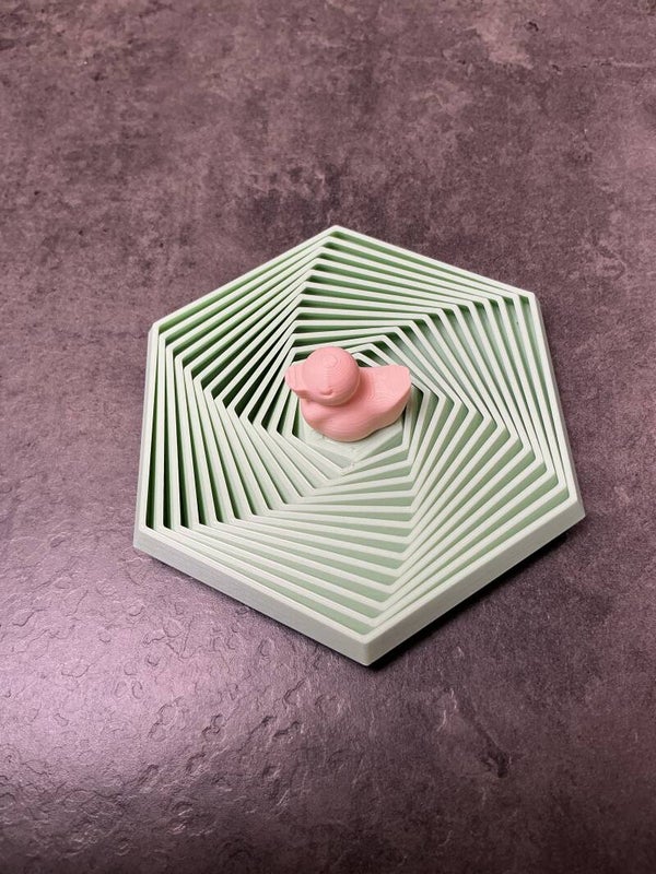 Hexagon met eend